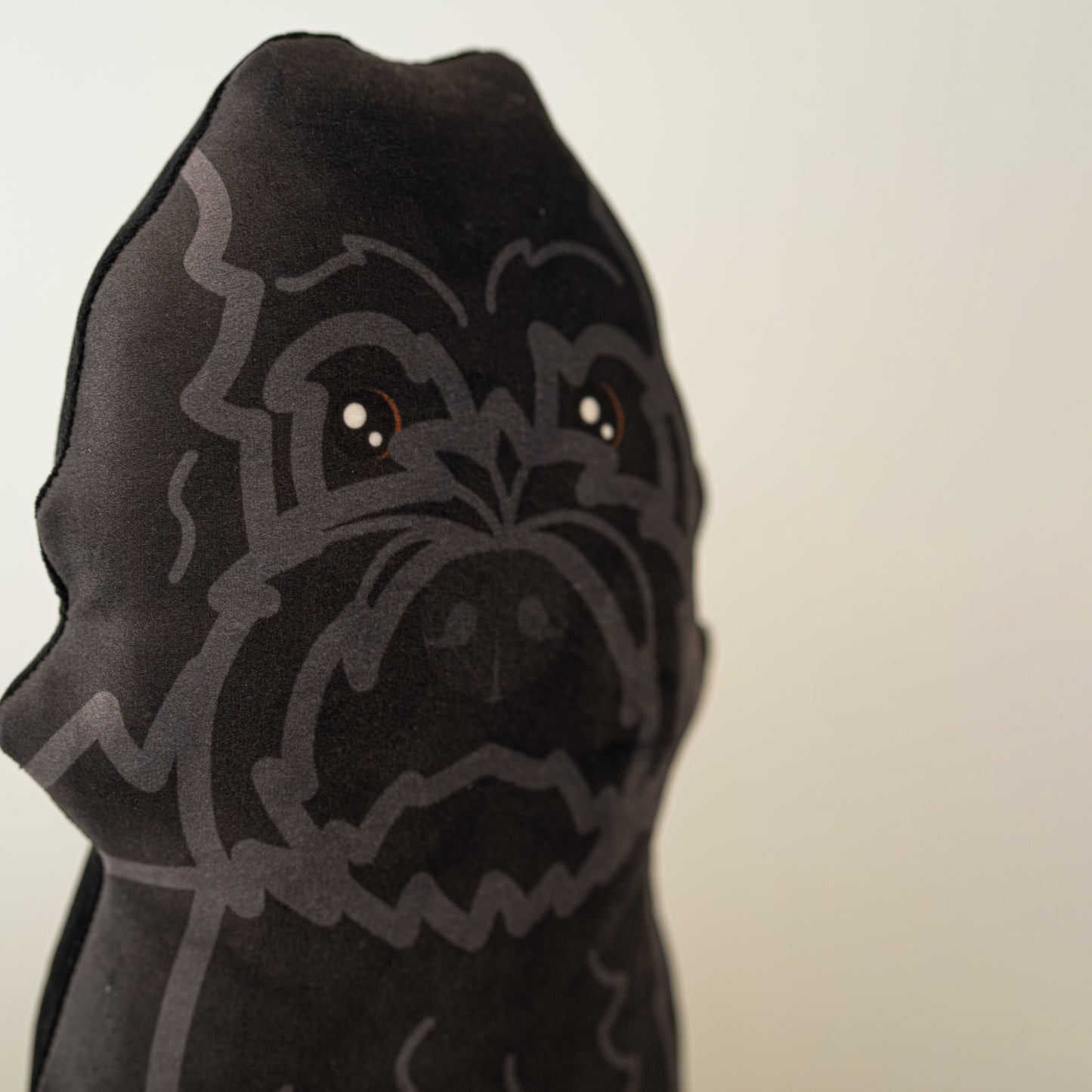 Labradoodle