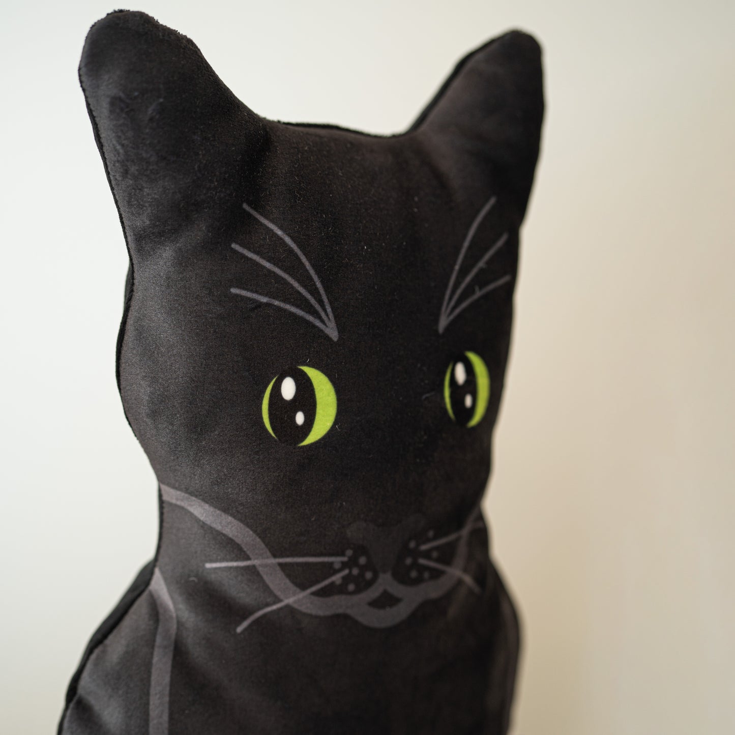 Zwarte Kat