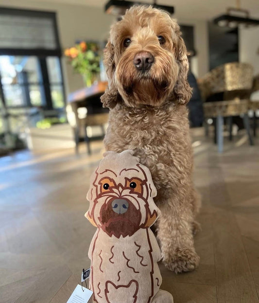 Labradoodle knuffel laten maken? Ontdek de Knuffelmakers Pet