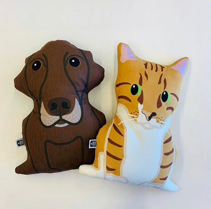 Cushion Pet Portrait