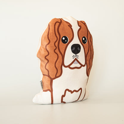 Cavalier King Charles