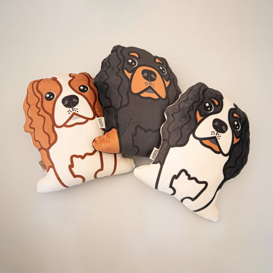 Cavalier King Charles