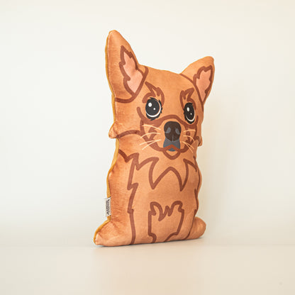 Chihuahua