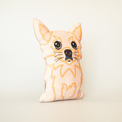 Chihuahua