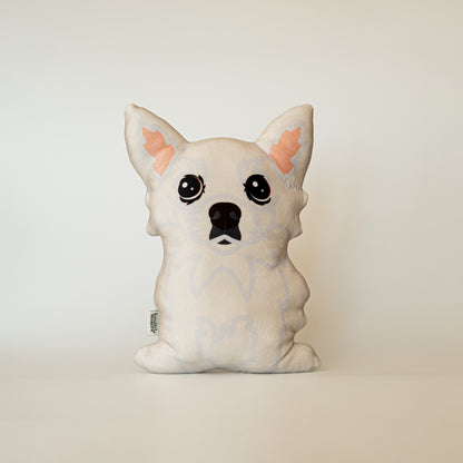 Chihuahua