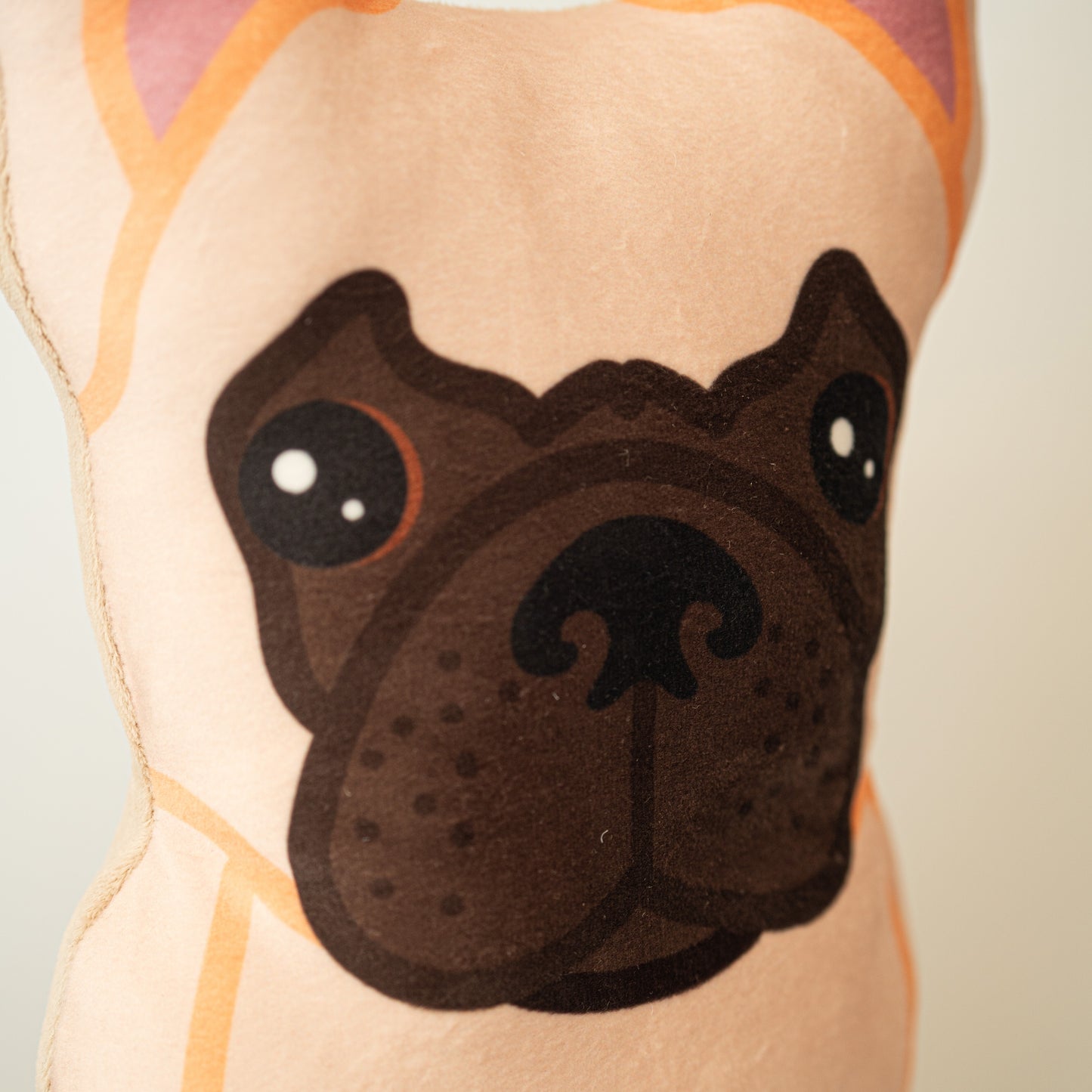 Franse Bulldog