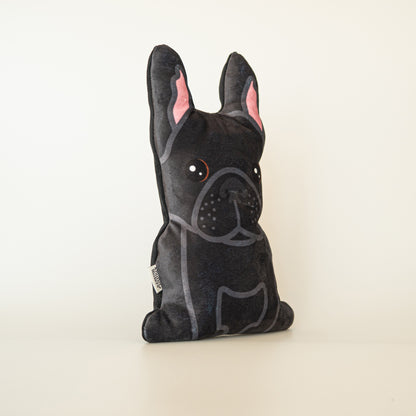 Franse Bulldog