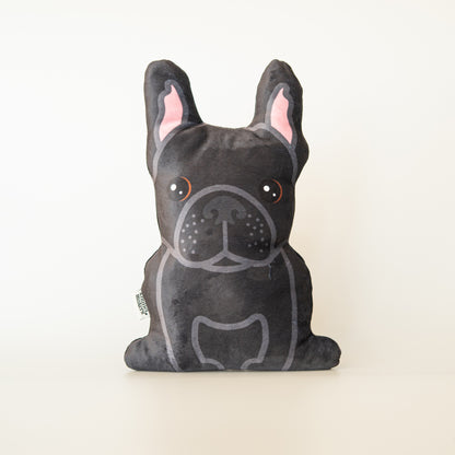 Franse Bulldog