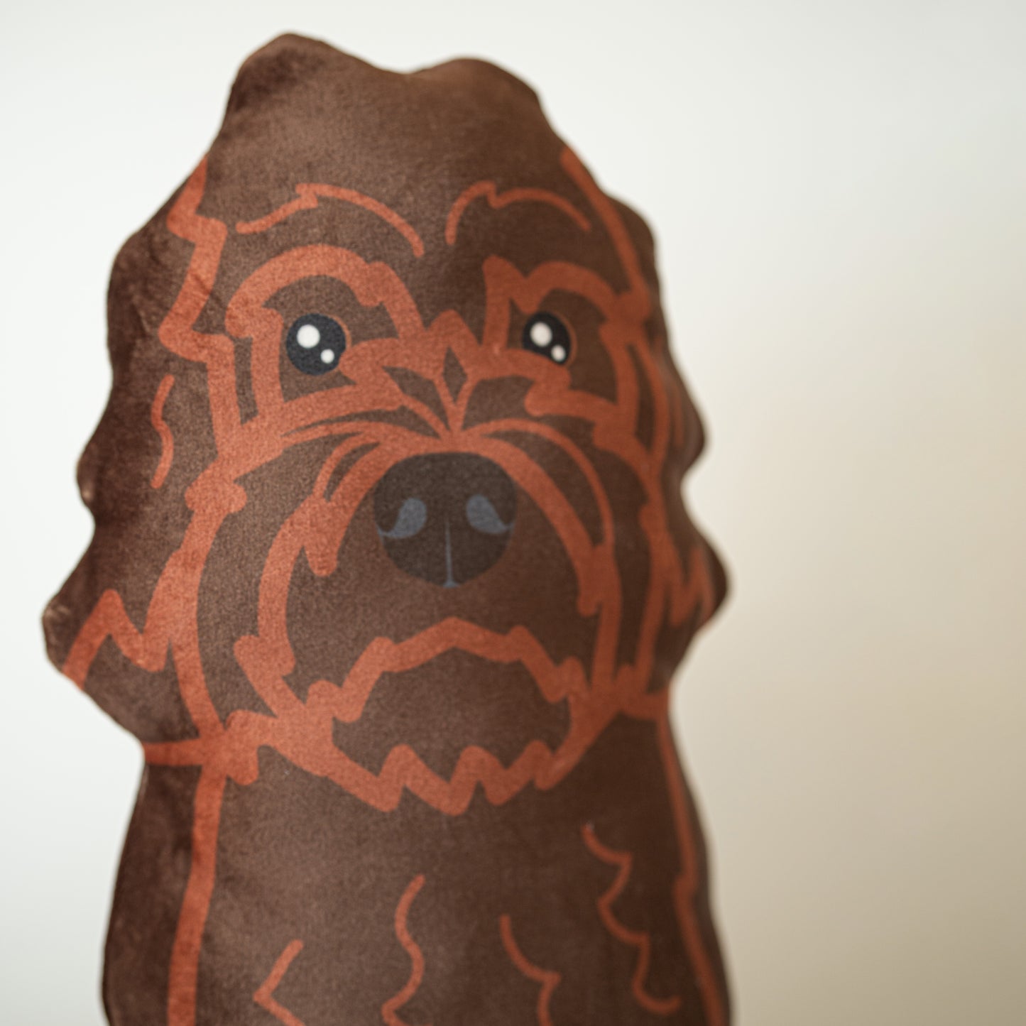 Labradoodle