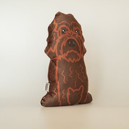 Labradoodle