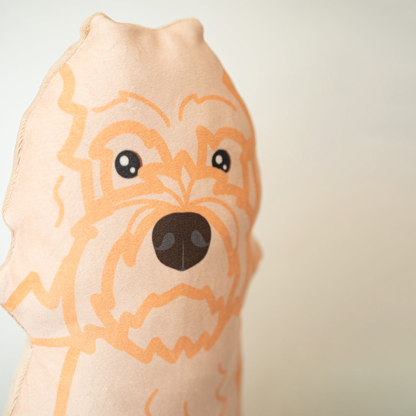 Labradoodle