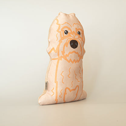 Labradoodle