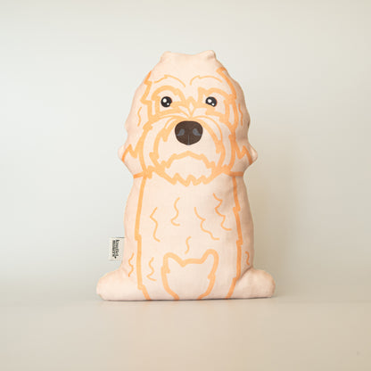 Labradoodle