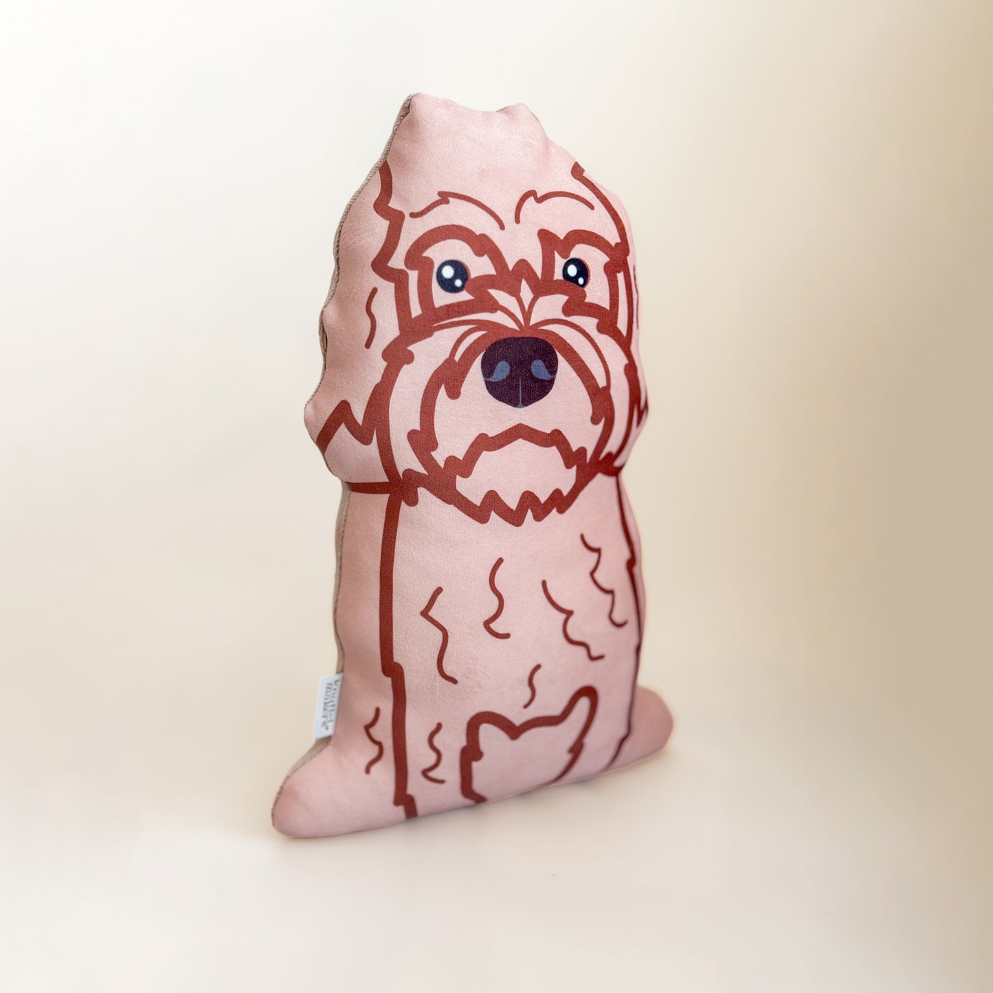 Labradoodle