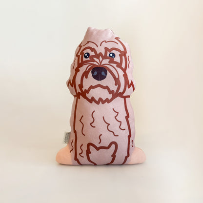 Labradoodle