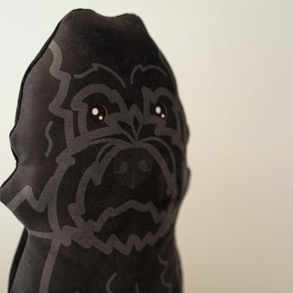 Labradoodle