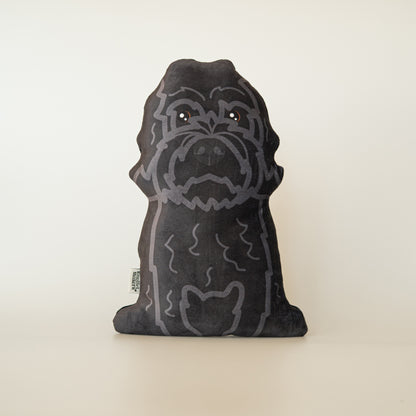 Labradoodle