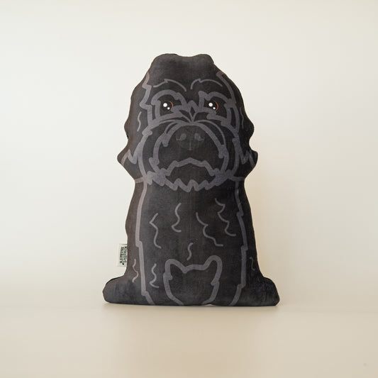 Labradoodle