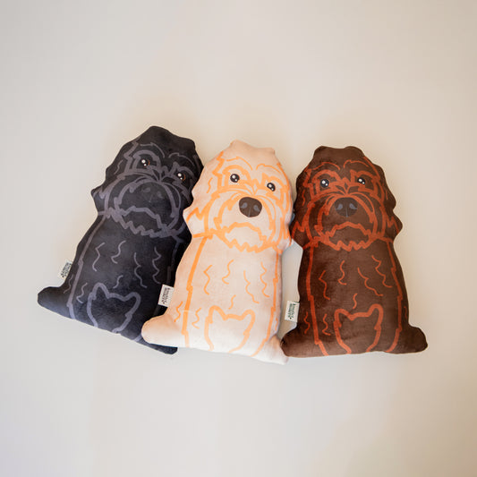 Labradoodle