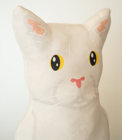 Witte kat