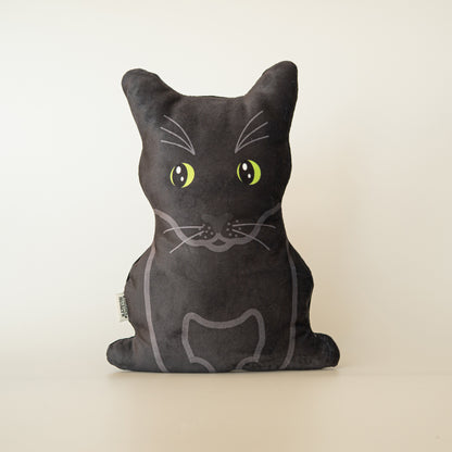 Zwarte Kat