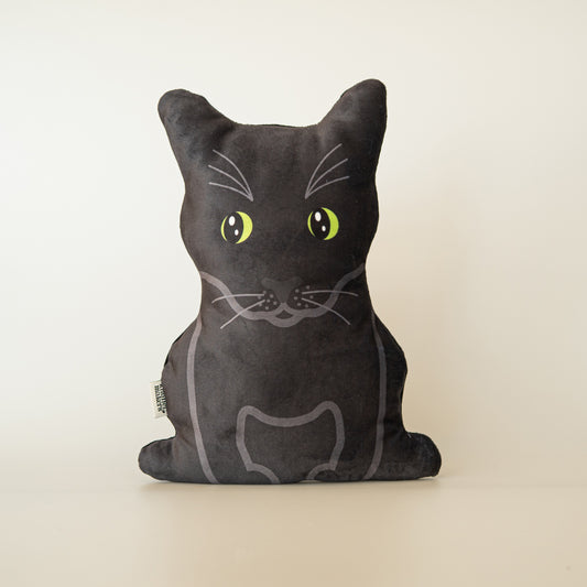 Zwarte Kat