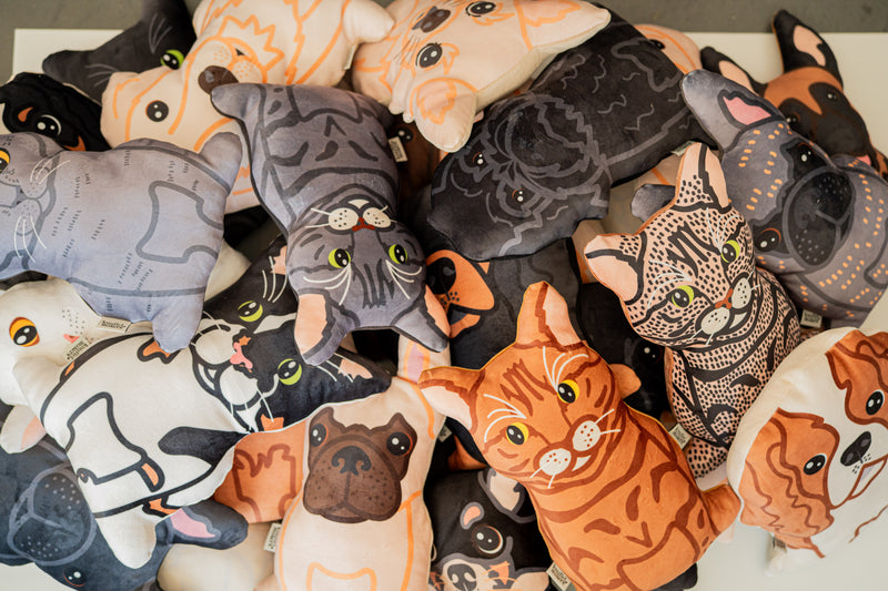 Ontdek onze Knuffelmakers Pets