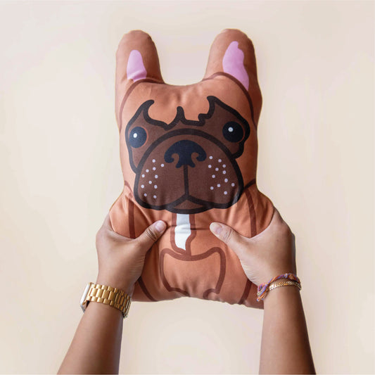 Knuffelkussen huisdier