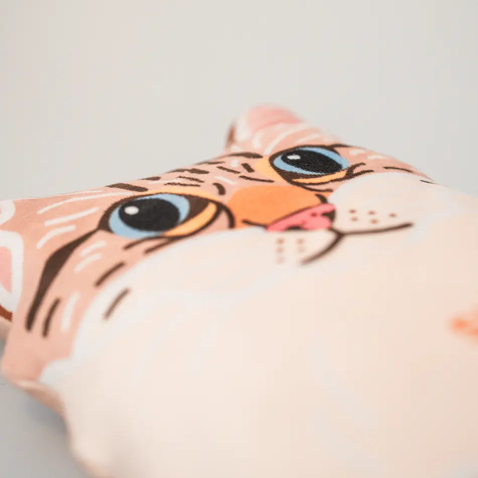 Een close-up van een prachtige kat