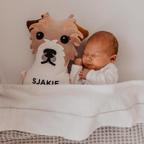 <strong>Voor elk hoofdstuk van het leven</strong>