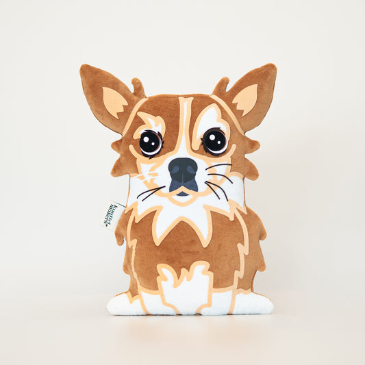 Chihuahua