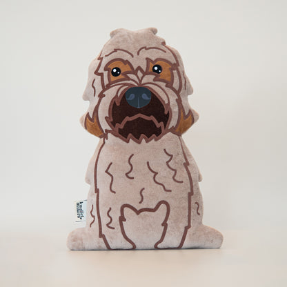 Labradoodle
