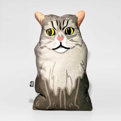 Knuffelportretje huisdier kat