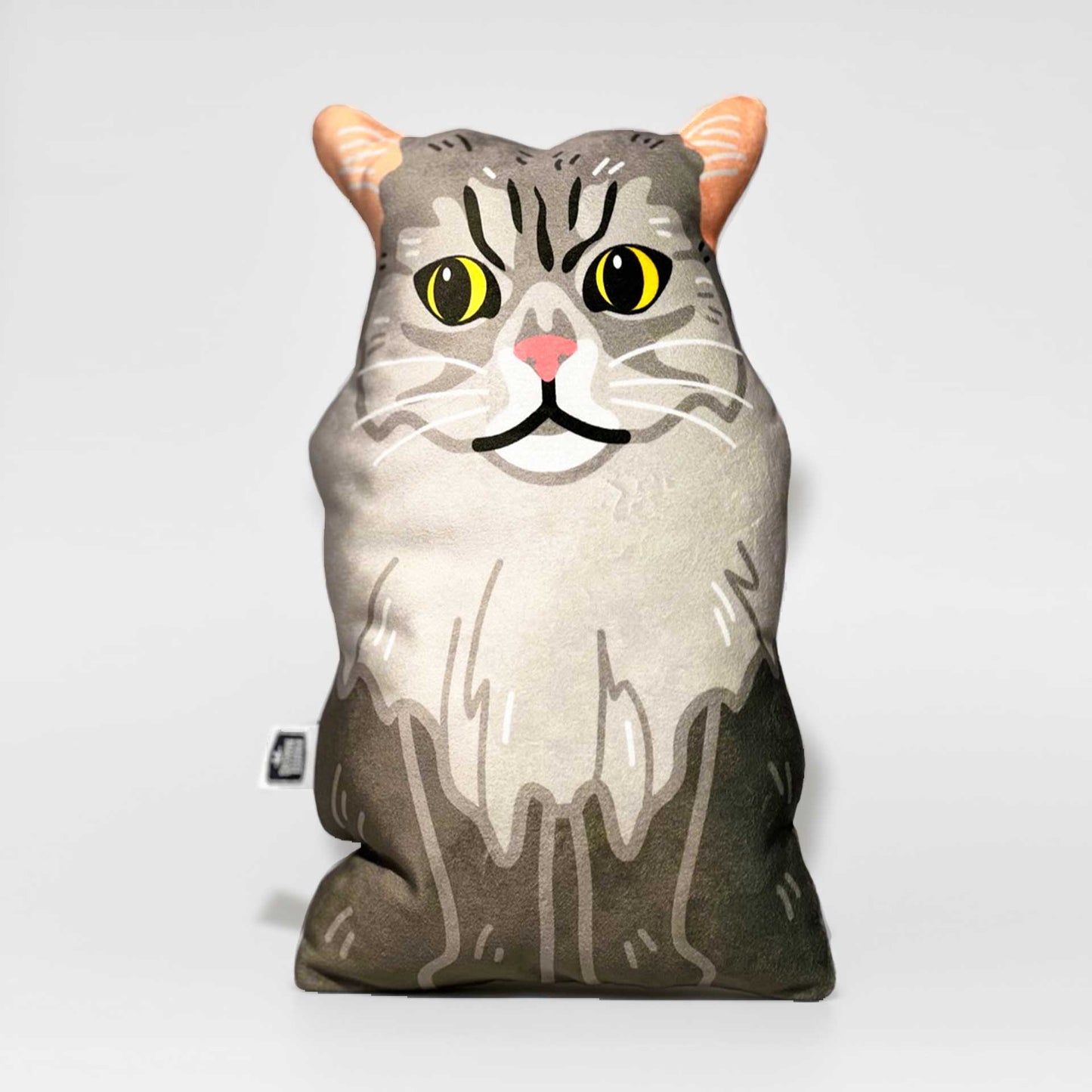 Knuffelportretje huisdier kat